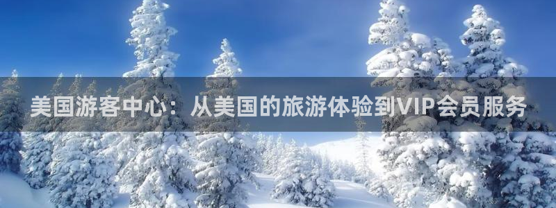 佛山市南海杏悦机电仪器有限公司：美国游客中心：从美国的旅游体验到VIP会员服务