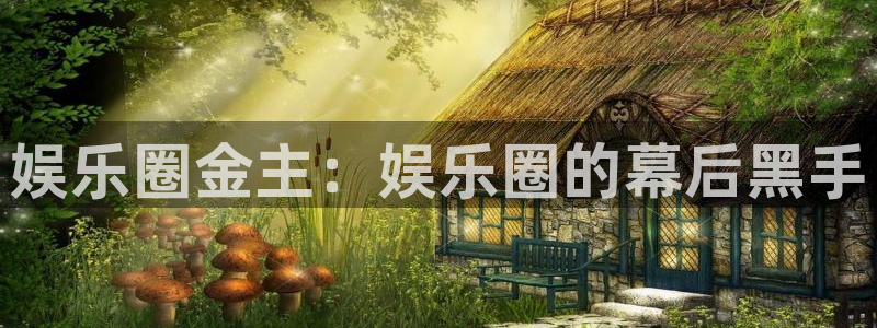 杏悦游戏有哪些好玩的：娱乐圈金主：娱乐圈的幕后黑手