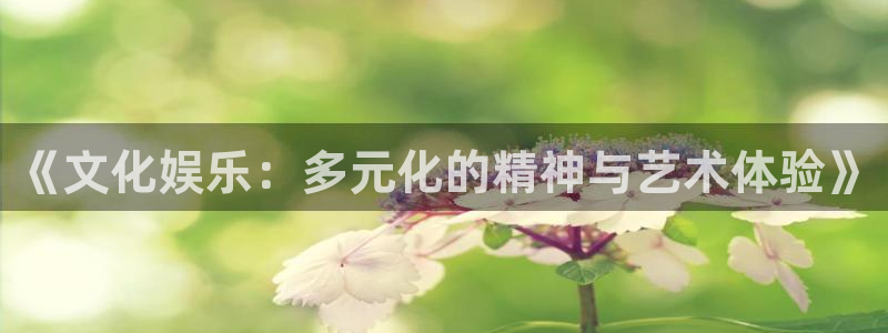 杏悦f平台注册：《文化娱乐：多元化的精神与艺术体验》