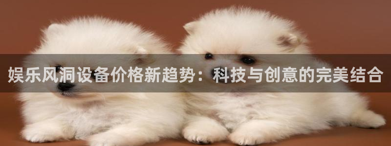 杏悦体育3在线注册：娱乐风洞设备价格新趋势：科技与创意的完美结合