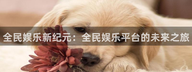 杏悦体育凯捷平台注册：全民娱乐新纪元：全民娱乐平台的未来之旅