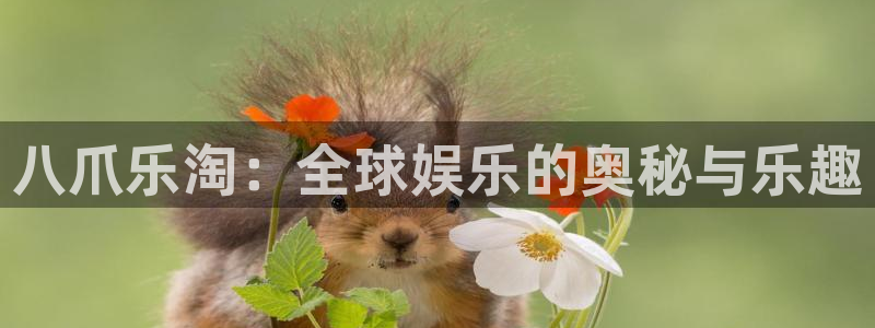 杏悦体育在线注册：八爪乐淘：全球娱乐的奥秘与乐趣