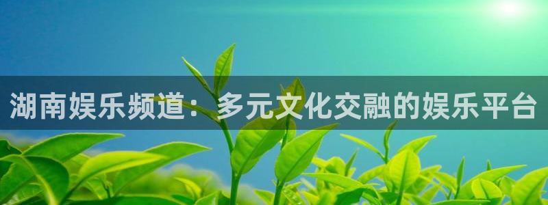杏悦平台：湖南娱乐频道：多元文化交融的娱乐平台