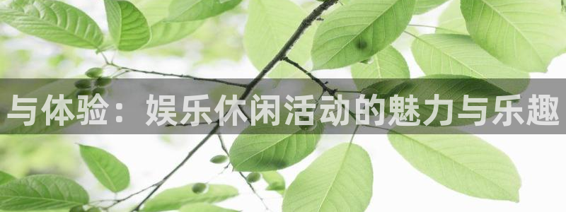杏悦平台主管：与体验：娱乐休闲活动的魅力与乐趣