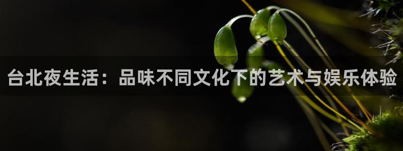 成都杏悦电子有限公司：台北夜生活：品味不同文化下的艺术与娱乐体验