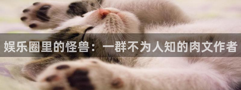 杏悦2体育：娱乐圈里的怪兽：一群不为人知的肉文作者