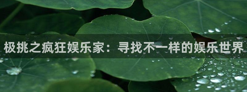 杏悦主管：极挑之疯狂娱乐家：寻找不一样的娱乐世界