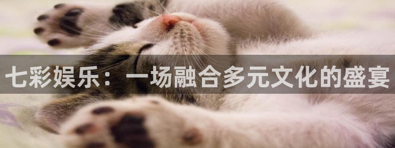杏悦体育和杏耀是哪个公司的：七彩娱乐：一场融合多元文化的盛宴