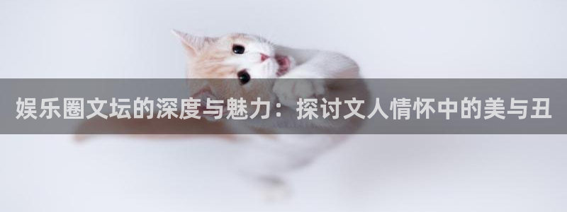 杏悦官网注册：娱乐圈文坛的深度与魅力：探讨文人情怀中的美与丑