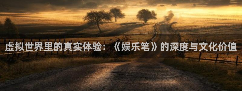 福建杏悦机电股份公司：虚拟世界里的真实体验：《娱乐笔》的深度与文化价值