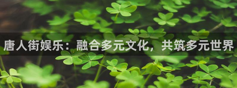 杏悦k：唐人街娱乐：融合多元文化，共筑多元世界